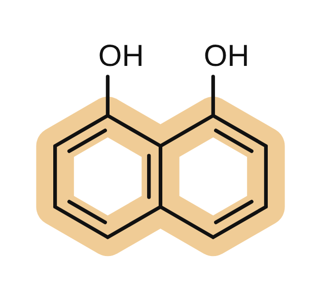DHN, the building block of fungal melanin
