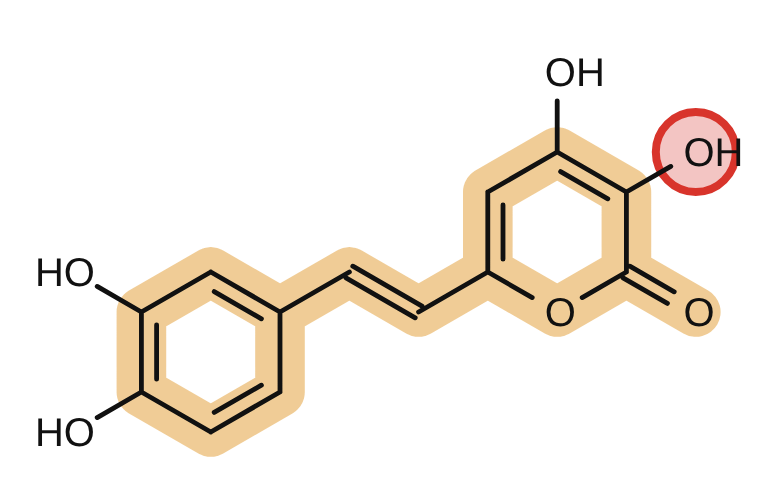3-Hydroxyhispidin, the new OH circled