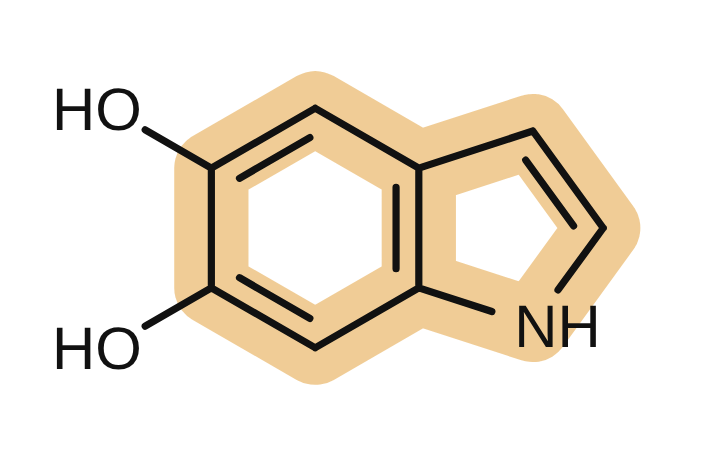 DHI, the building block of human eumelanin